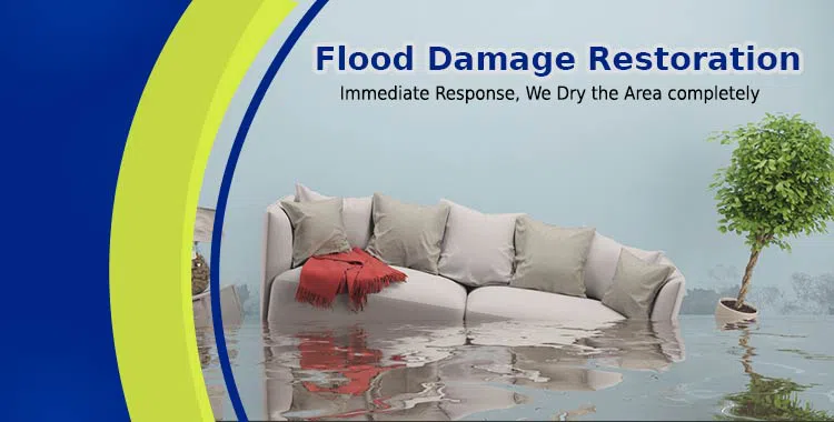 #bslide1 logo-image - banner-01