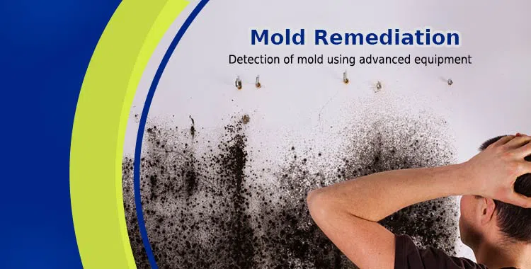 #bslide2 logo-image - banner-02