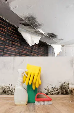 Plantation Restoration Company Plantation, FL 954-621-2753 Plantation Restoration Company Plantation, FL 954-621-2753